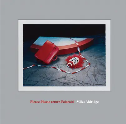 Miles Aldridge: Vă rog să vă întoarceți Polaroidul - Miles Aldridge: Please Please Return Polaroid