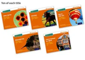 Read Write Inc. Phonics: Orange Set 4 Non-fiction books (pachet de 50) - Read Write Inc. Phonics: Orange Set 4 Non-fiction books (Pack of 50)