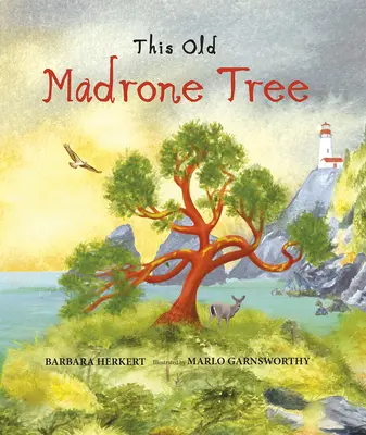 Acest bătrân copac Madrone - This Old Madrone Tree