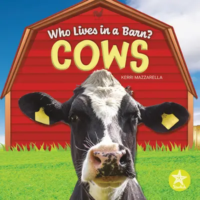 Vaci - Cows