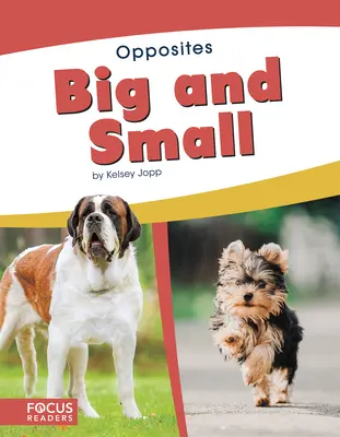 Mare și mic - Big and Small
