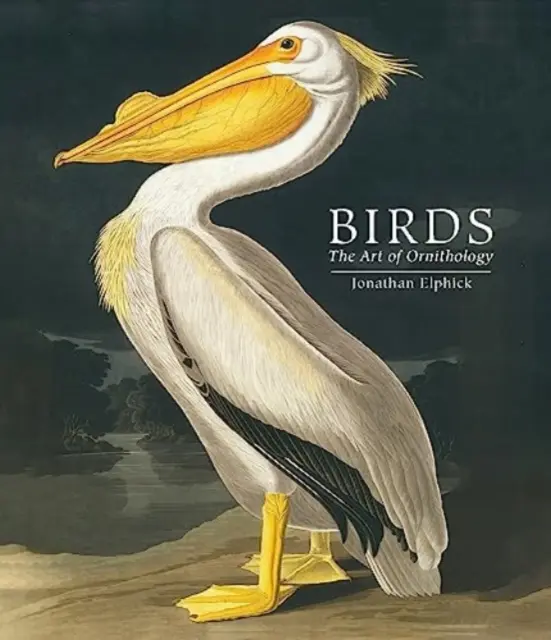 Păsări - Arta ornitologiei (ediție de buzunar) - Birds - The Art of Ornithology (Pocket edition)
