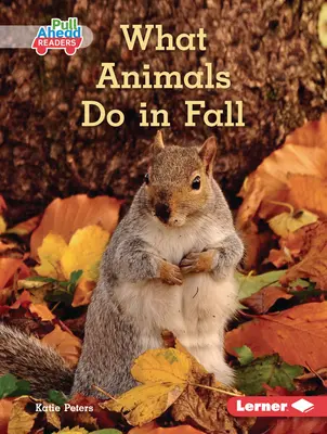 Ce fac animalele toamna - What Animals Do in Fall