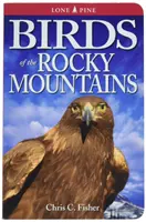 Păsările din Munții Stâncoși - Birds of the Rocky Mountains