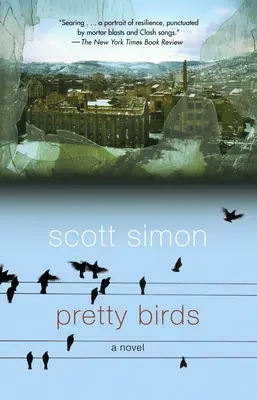 Păsări drăguțe - Pretty Birds