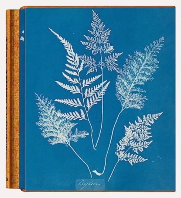 Anna Atkins. Cianotipuri - Anna Atkins. Cyanotypes