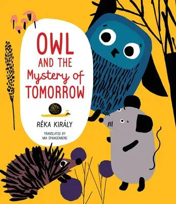 Bufnița și misterul zilei de mâine - Owl and the Mystery of Tomorrow