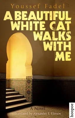 O pisică albă și frumoasă umblă cu mine - A Beautiful White Cat Walks with Me