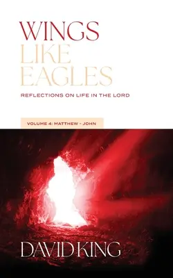 Aripi ca de vultur: Reflecții asupra vieții în Domnul Vol. 4: Matei-Ioan - Wings Like Eagles: Reflections on Life in the Lord Vol. 4: Matthew-John