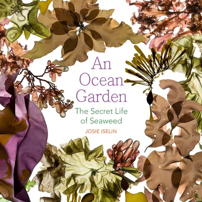 O grădină oceanică: Viața secretă a algelor marine (The Secret Life of Seaweed) - An Ocean Garden: The Secret Life of Seaweed