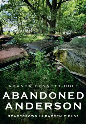 Abandonată Anderson, Indiana: Sperietori de ciori în câmpuri sterpe - Abandoned Anderson, Indiana: Scarecrows in Barren Fields