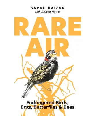 Aer rar: Păsări, lilieci, fluturi și albine pe cale de dispariție - Rare Air: Endangered Birds, Bats, Butterflies, & Bees