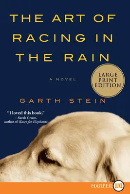 Arta de a alerga pe ploaie - The Art of Racing in the Rain