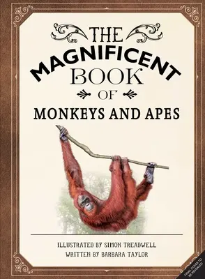 Magnifica carte a maimuțelor și maimuțelor (The Magnificent Book of Monkeys and Apes) - The Magnificent Book of Monkeys and Apes