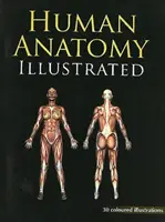 Anatomie umană ilustrată - Human Anatomy Illustrated