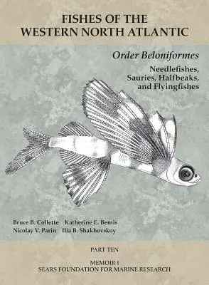 Ordinul Beloniformes: Needlefishes, Sauries, Halfbeaks, and Flyingfishes: Partea 10 - Order Beloniformes: Needlefishes, Sauries, Halfbeaks, and Flyingfishes: Part 10