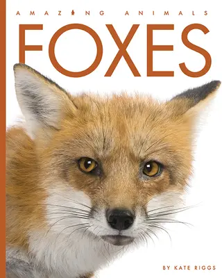 Vulpile - Foxes