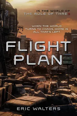 Planul de zbor - Flight Plan