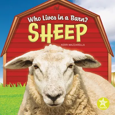 Oile - Sheep