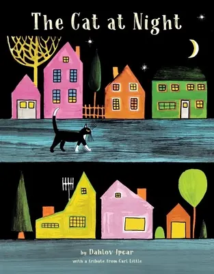 Pisica noaptea - The Cat at Night