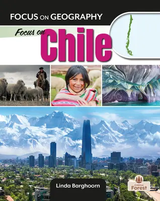 Focus pe Chile - Focus on Chile
