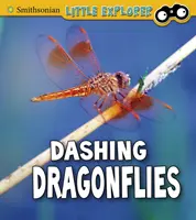 Libelule avântate - Dashing Dragonflies