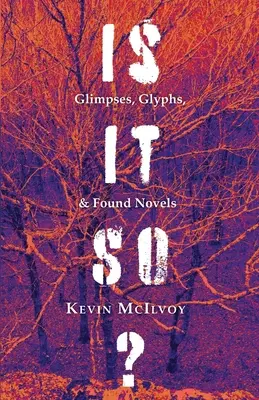 Este așa? Glimpses, Glyphs, & Found Novels - Is It So? Glimpses, Glyphs, & Found Novels