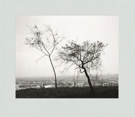Robert Adams: Primăvara în Los Angeles - Robert Adams: Los Angeles Spring