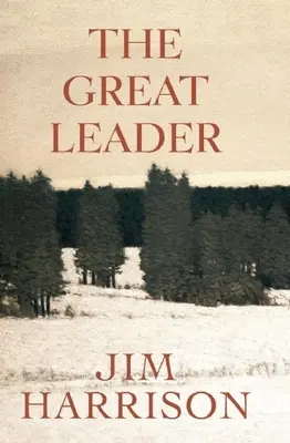 Marele conducător: Un fals mister - The Great Leader: A Faux Mystery