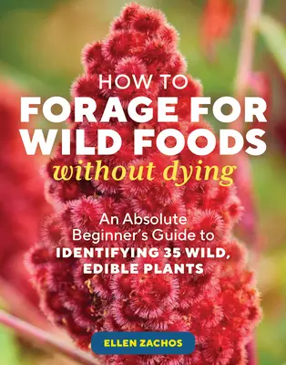 Cum să cauți alimente sălbatice fără să mori: Ghidul unui începător absolut pentru identificarea a 40 de plante sălbatice comestibile - How to Forage for Wild Foods Without Dying: An Absolute Beginner's Guide to Identifying 40 Edible Wild Plants