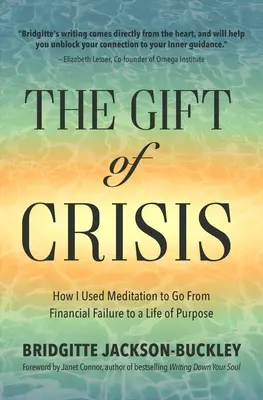 The Gift of Crisis: How I Used Meditation to Go from Financial Failure to a Life of Purpose (Darul crizei: Cum am folosit meditația pentru a trece de la eșecul financiar la o viață cu scop) - The Gift of Crisis: How I Used Meditation to Go from Financial Failure to a Life of Purpose