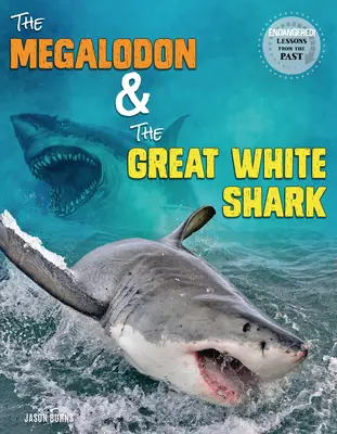 Der Megalodon und der Weiße Hai - The Megalodon and the Great White Shark