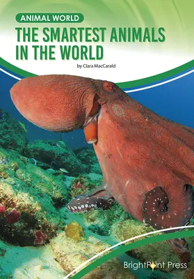 Cele mai inteligente animale din lume - The Smartest Animals in the World