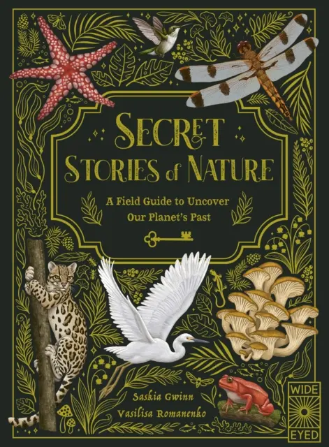 Poveștile secrete ale naturii - Un ghid de teren pentru a descoperi trecutul planetei noastre - Secret Stories of Nature - A Field Guide to Uncover Our Planet's Past