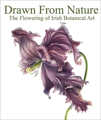 Desenat din natură: Înflorirea artei botanice irlandeze - Drawn from Nature: The Flowering of Irish Botanical Art