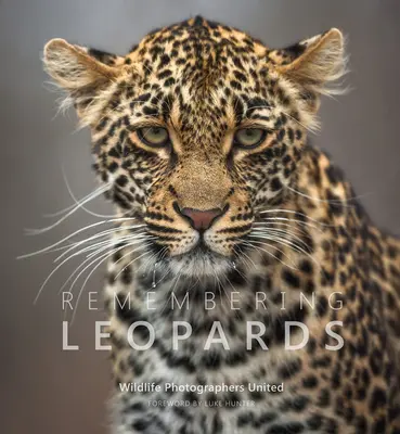 Amintirea leoparzilor - Remembering Leopards