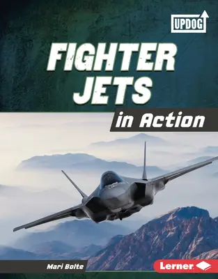 Avioane de luptă în acțiune - Fighter Jets in Action