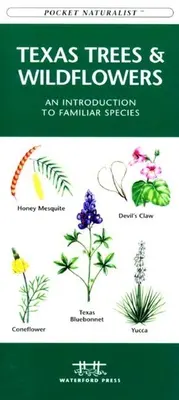 Păsări din Virginia: Un ghid de buzunar pliabil pentru specii familiare - Virginia Birds: A Folding Pocket Guide to Familiar Species