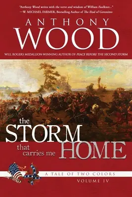 Furtuna care mă poartă acasă: O poveste a războiului civil - The Storm That Carries Me Home: A Story of the Civil War