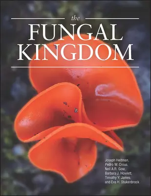 Regatul ciupercilor - The Fungal Kingdom