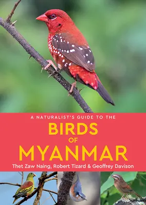 Ghidul naturalist al păsărilor din Myanmar (A Naturalist's Guide to the Birds of Myanmar) - A Naturalist's Guide to the Birds of Myanmar
