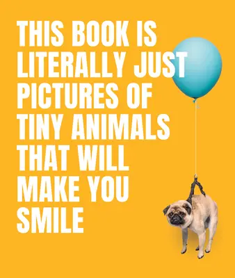 Această carte conține literalmente doar imagini cu animale minuscule care vă vor face să zâmbiți - This Book Is Literally Just Pictures of Tiny Animals That Will Make You Smile