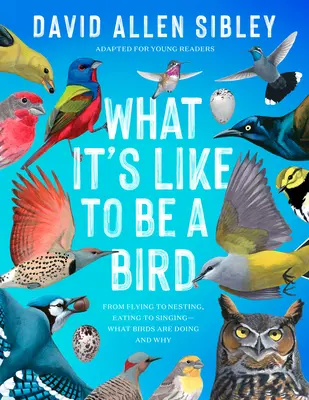 Cum e să fii o pasăre (adaptat pentru tinerii cititori): De la zbor la cuibărit, de la mâncat la cântat - ce fac păsările și de ce - What It's Like to Be a Bird (Adapted for Young Readers): From Flying to Nesting, Eating to Singing--What Birds Are Doing and Why