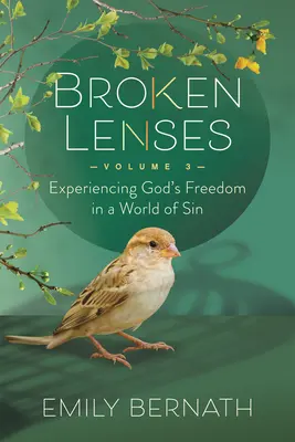 Lentile sparte volumul 3: Experimentarea libertății lui Dumnezeu într-o lume a păcatului - Broken Lenses Volume 3: Experiencing God's Freedom in a World of Sin