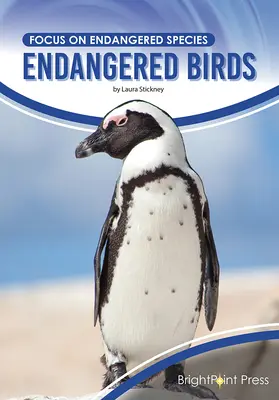 Păsări pe cale de dispariție - Endangered Birds