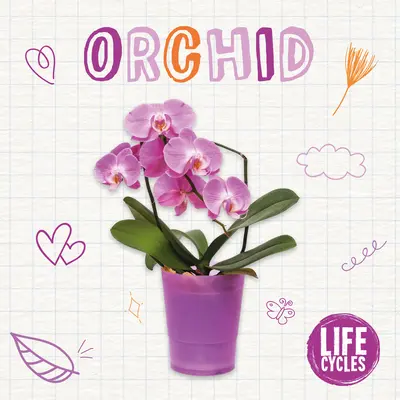 Orhidee - Orchid