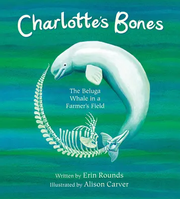 Charlotte's Bones: Balena Beluga în câmpul unui fermier - Charlotte's Bones: The Beluga Whale in a Farmer's Field