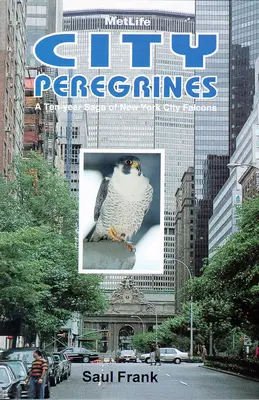 City Peregrines: O saga de zece ani a șoimilor din New York - City Peregrines: A Ten-Year Saga of New York Falcons