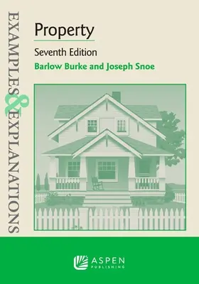 Exemple și explicații pentru proprietate - Examples & Explanations for Property