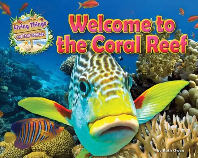 Bine ați venit la reciful de corali - Welcome to the Coral Reef